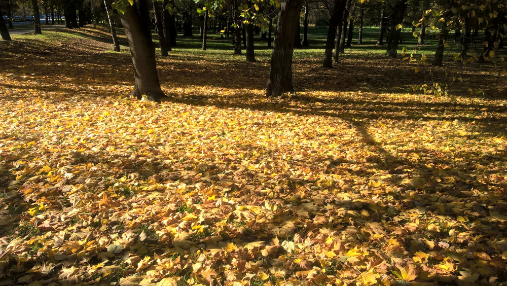 Фото Сергея Филиппова Фото Сергея Филиппова