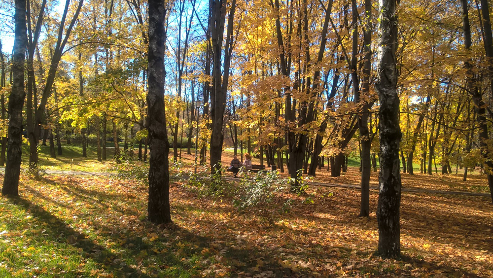 Фото Сергея Филиппова Фото Сергея Филиппова