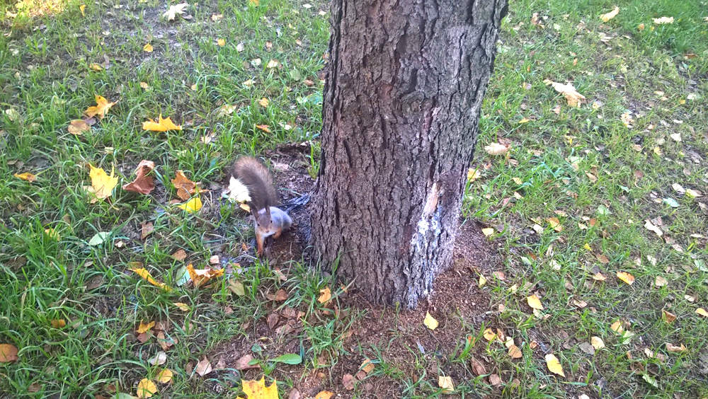 Фото Сергея Филиппова Фото Сергея Филиппова