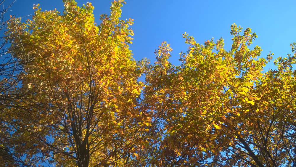 Фото Сергея Филиппова Фото Сергея Филиппова