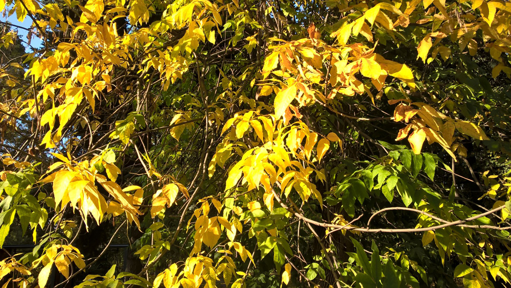 Фото Сергея Филиппова Фото Сергея Филиппова