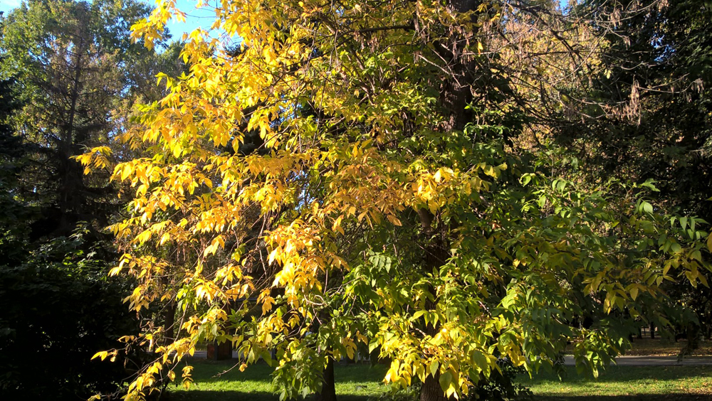 Фото Сергея Филиппова Фото Сергея Филиппова