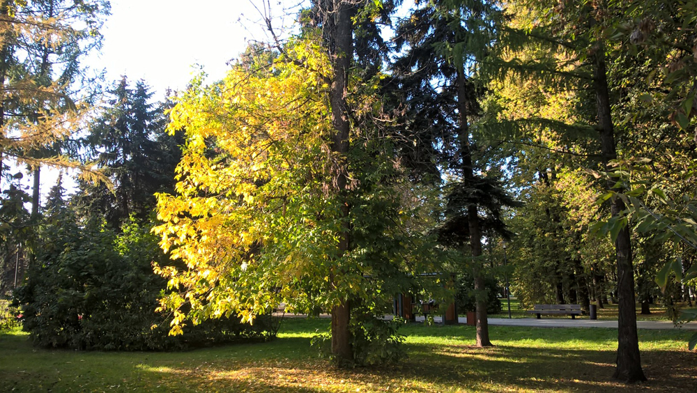 Фото Сергея Филиппова Фото Сергея Филиппова