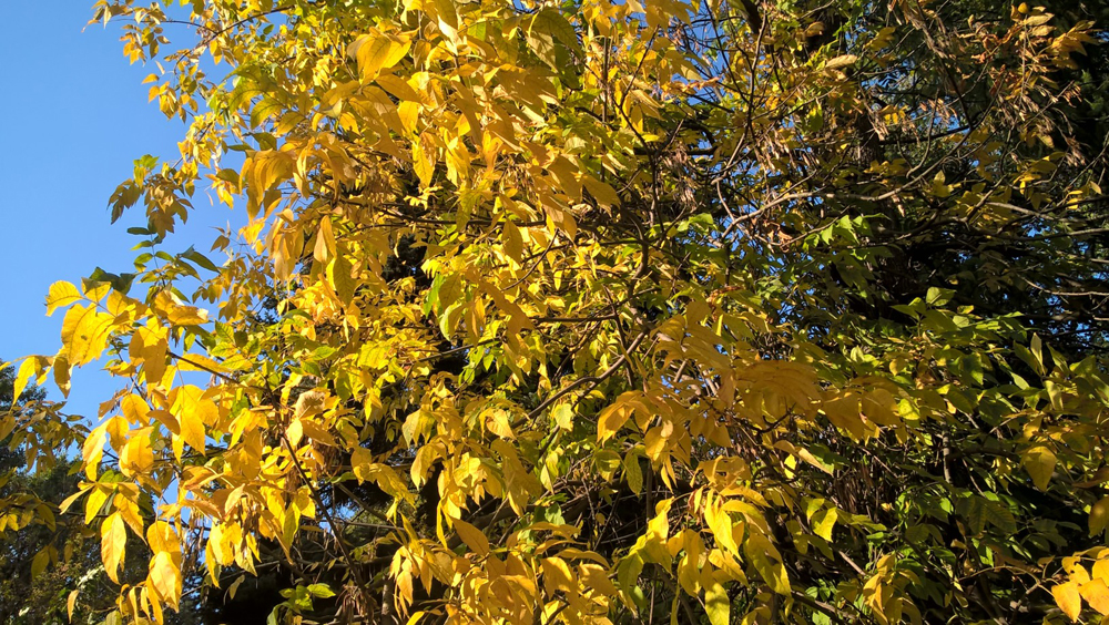 Фото Сергея Филиппова Фото Сергея Филиппова