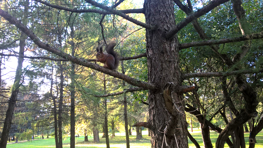 Фото Сергея Филиппова Фото Сергея Филиппова