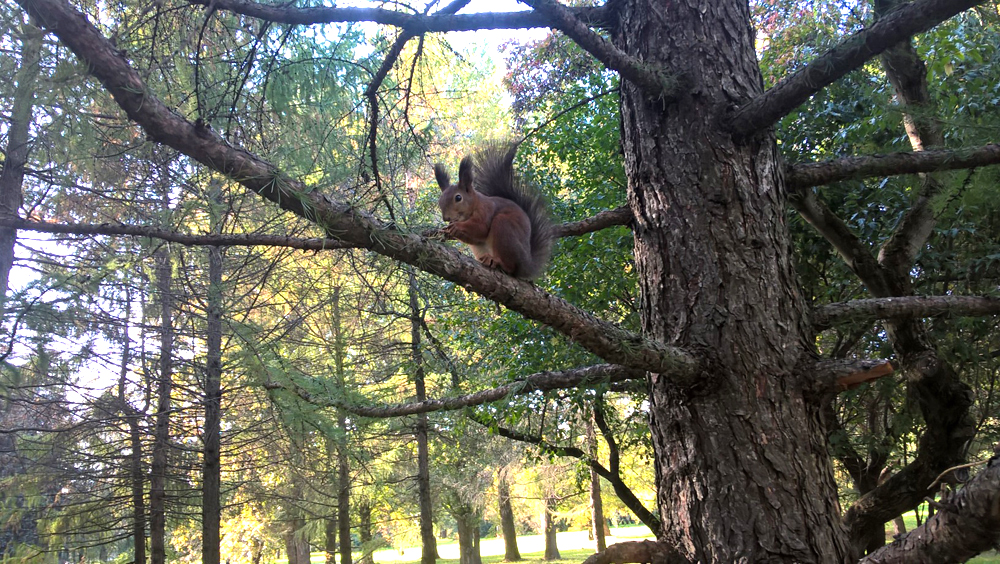 Фото Сергея Филиппова Фото Сергея Филиппова