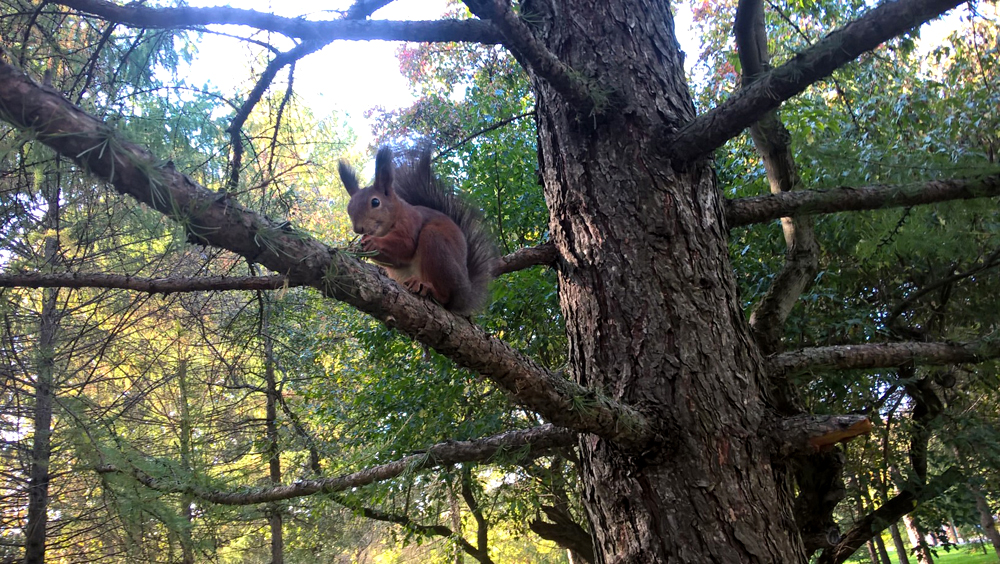 Фото Сергея Филиппова Фото Сергея Филиппова