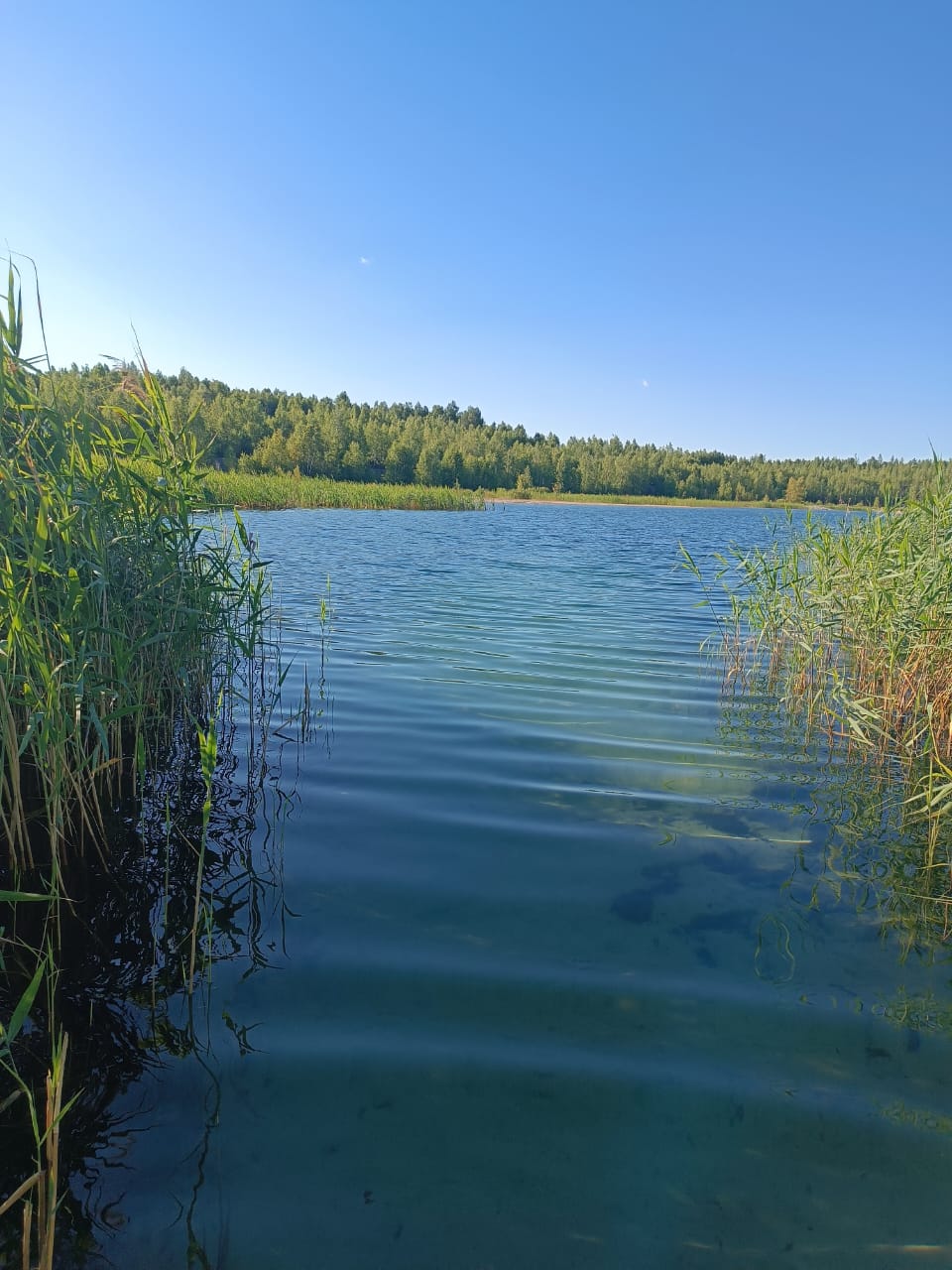 Фото Сергея Филиппова Фото Сергея Филиппова