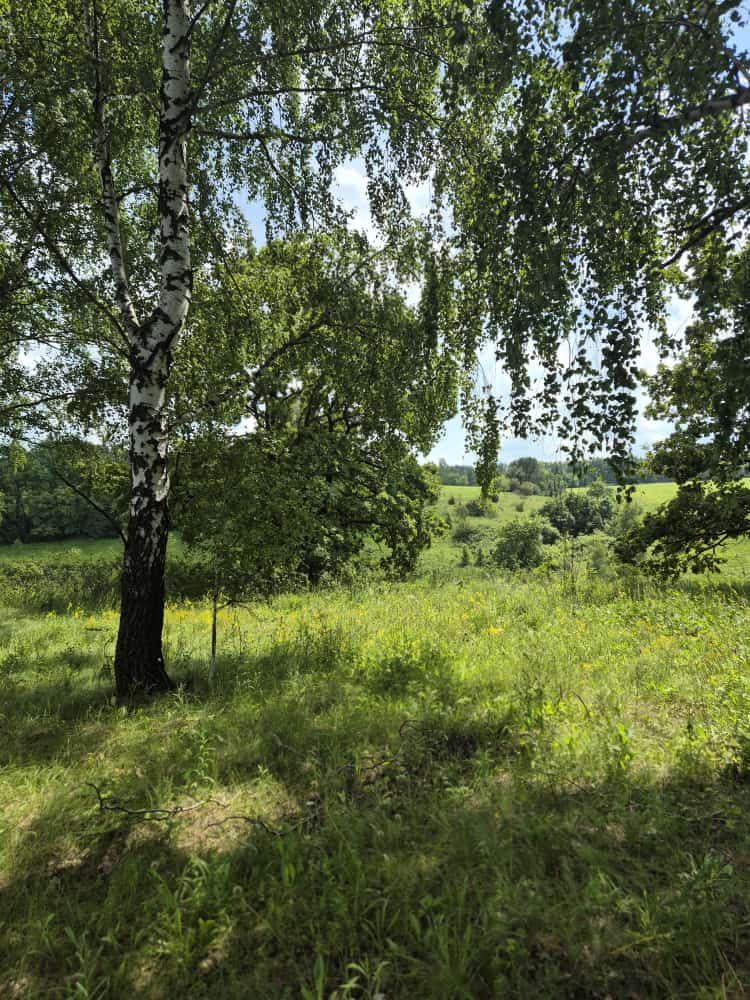 Фото Сергея Филиппова Фото Сергея Филиппова