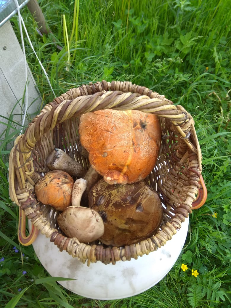 Фото Сергея Филиппова Фото Сергея Филиппова