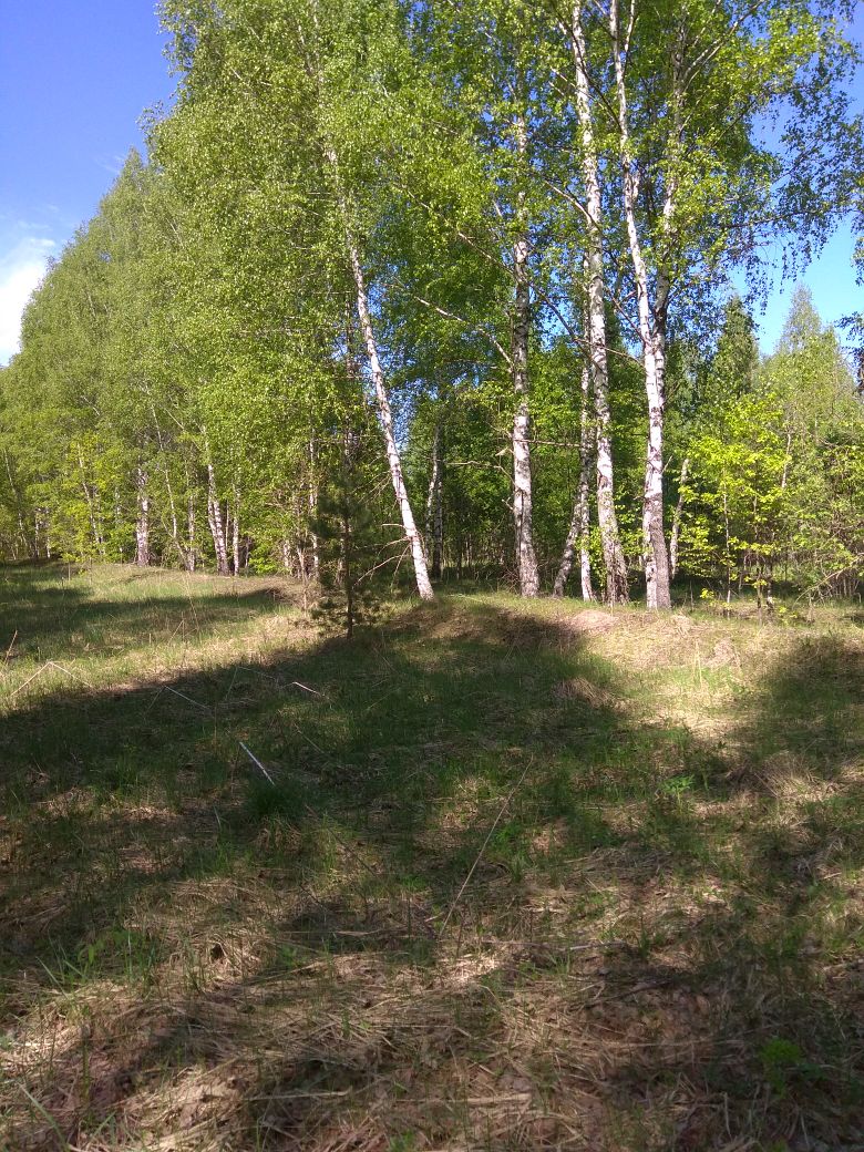 Фото Сергея Филиппова Фото Сергея Филиппова