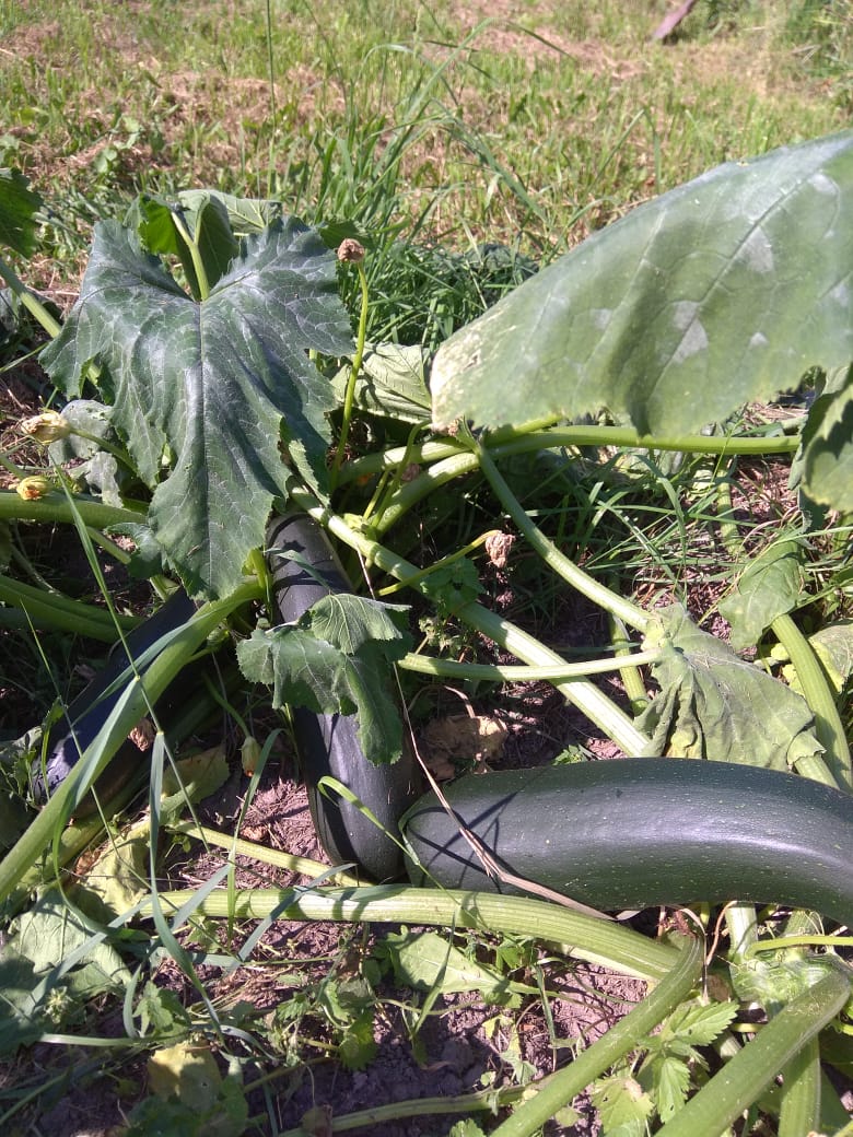 Фото Сергея Филиппова Фото Сергея Филиппова