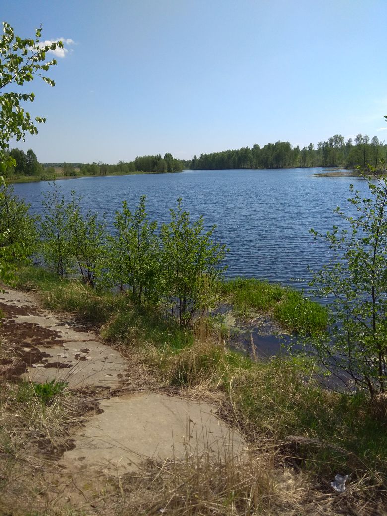 Фото Сергея Филиппова Фото Сергея Филиппова