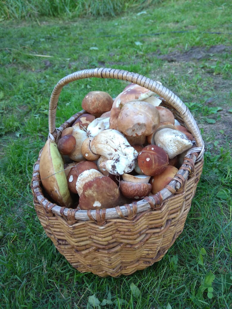 Фото Сергея Филиппова Фото Сергея Филиппова