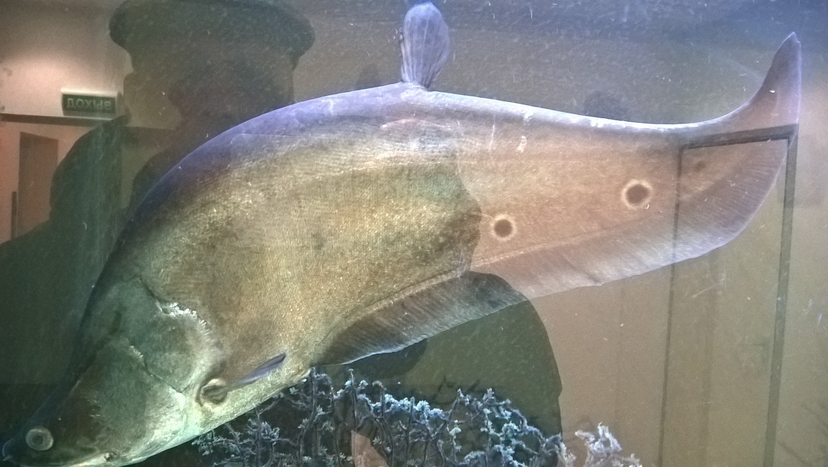 Фото Сергея Филиппова Фото Сергея Филиппова