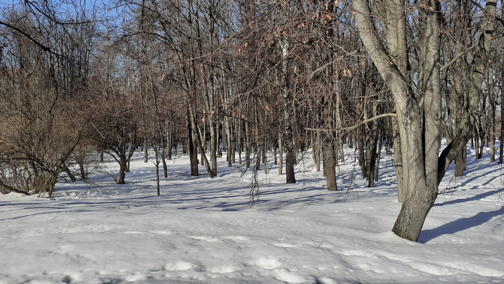 Фото Сергея Филиппова Фото Сергея Филиппова