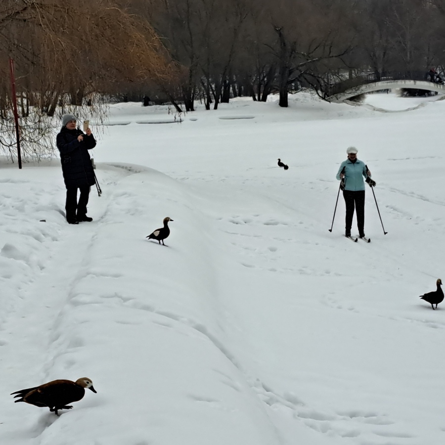 Фото Сергея Филиппова Фото Сергея Филиппова