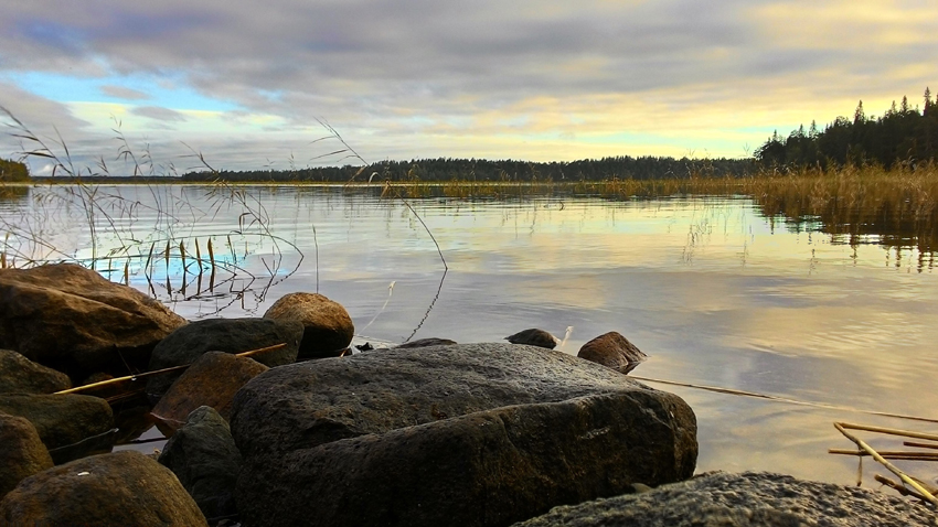 Фотография Александра Лазутина Фотография Александра Лазутина