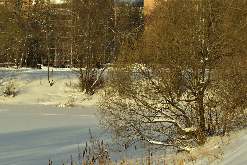Фотография Александра Лазутина Фотография Александра Лазутина