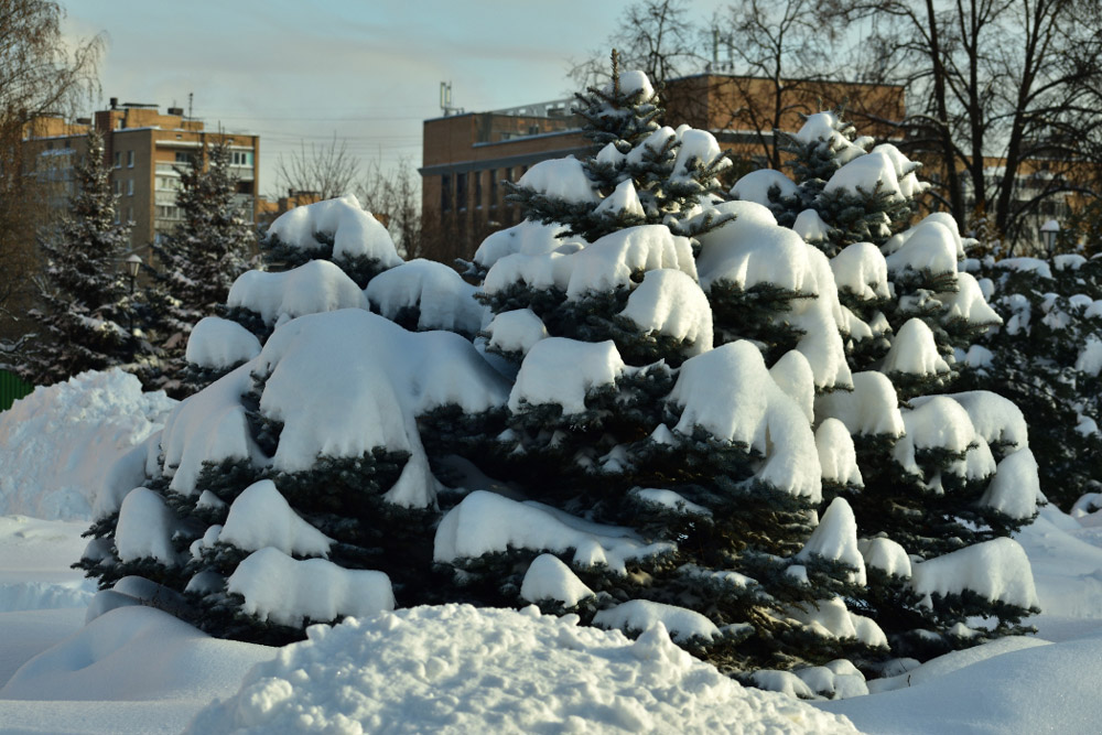 Фотография Александра Лазутина Фотография Александра Лазутина