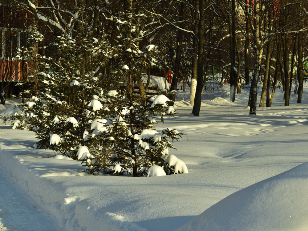 Фотография Александра Лазутина Фотография Александра Лазутина