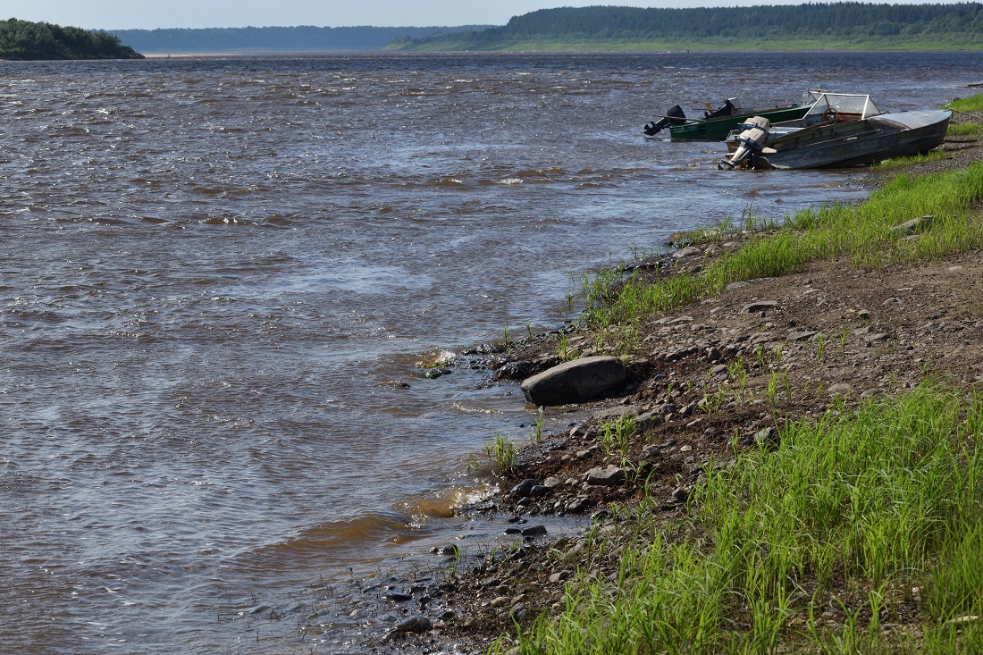 Фотография Александра Лазутина Фотография Александра Лазутина