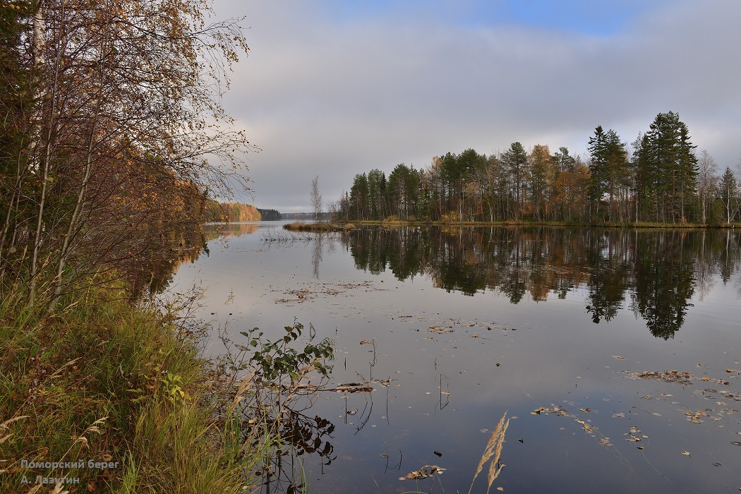 Фотография Александра Лазутина Фотография Александра Лазутина