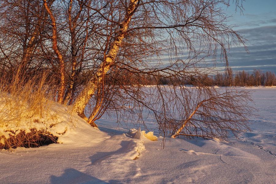 Фотография Александра Лазутина Фотография Александра Лазутина