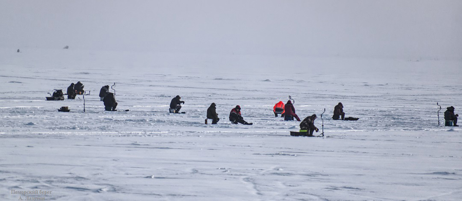 Фотография Александра Лазутина Фотография Александра Лазутина