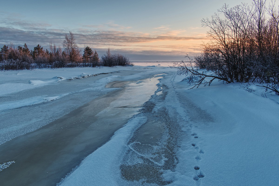 Фотография Александра Лазутина Фотография Александра Лазутина