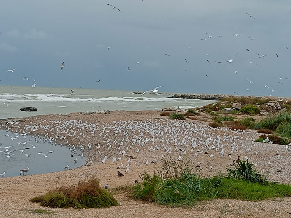 Фотография Александра Ралота Фотография Александра Ралота
