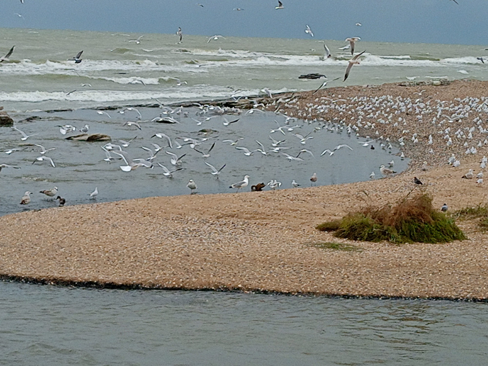 Фотография Александра Ралота Фотография Александра Ралота