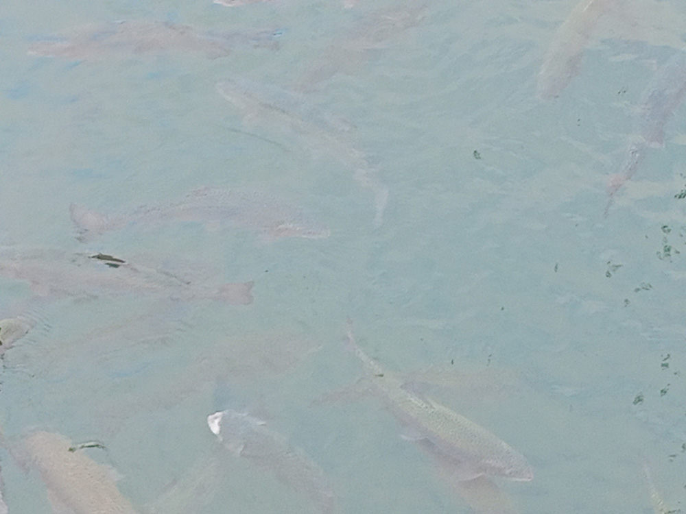 Фотография Александра Ралота Фотография Александра Ралота