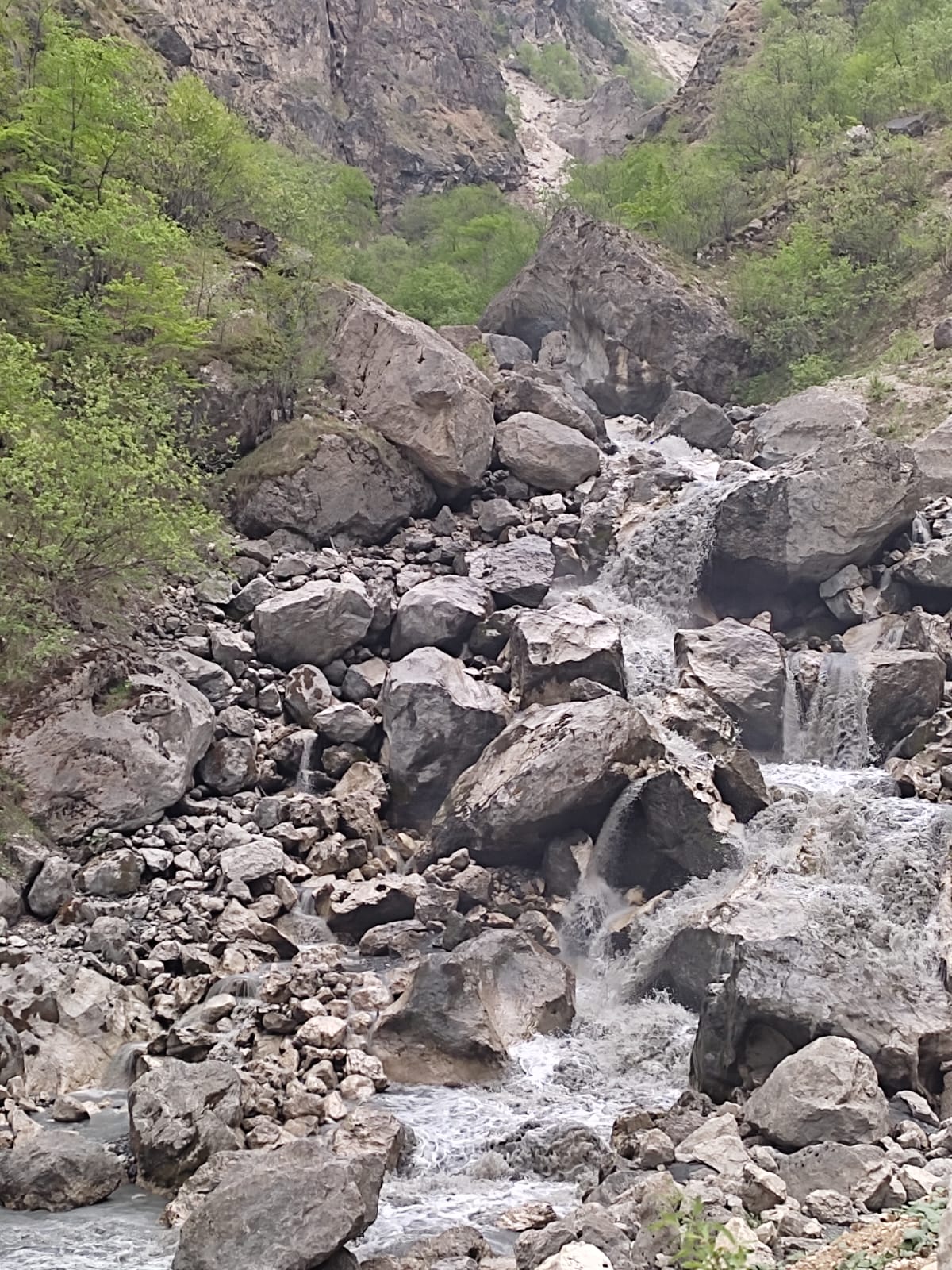 Фотография Александра Ралота Фотография Александра Ралота