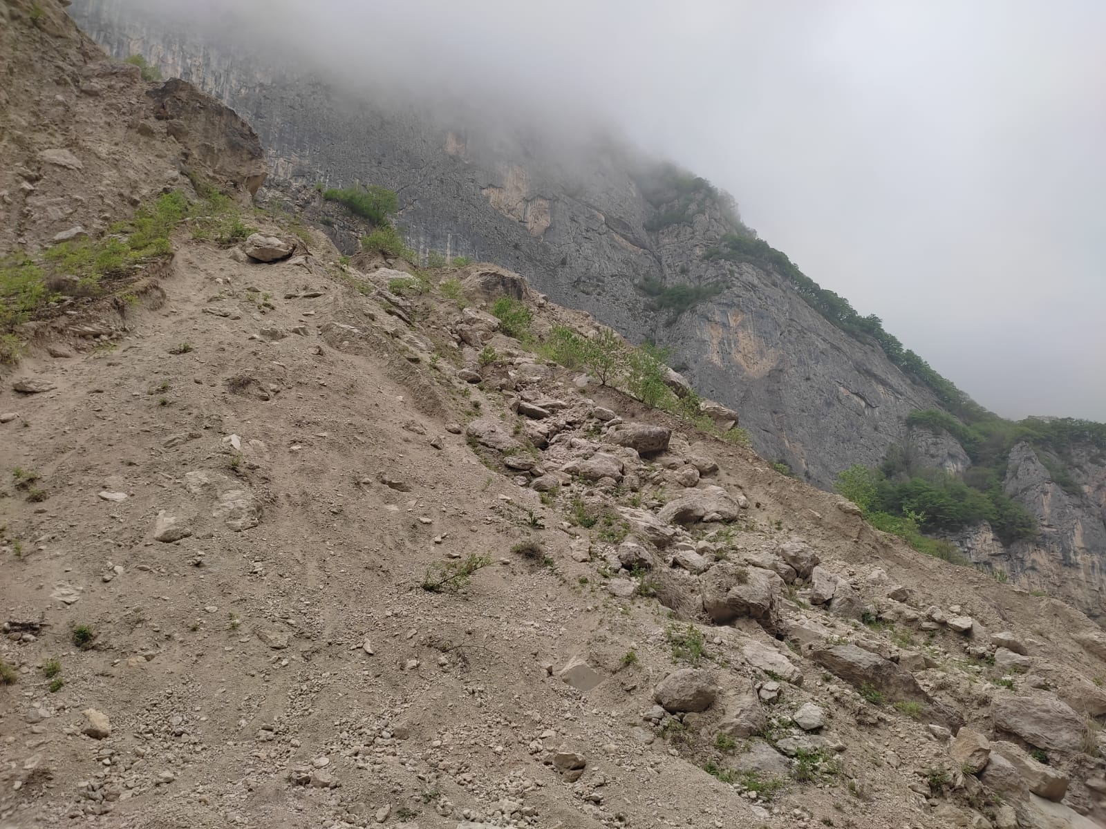 Фотография Александра Ралота Фотография Александра Ралота