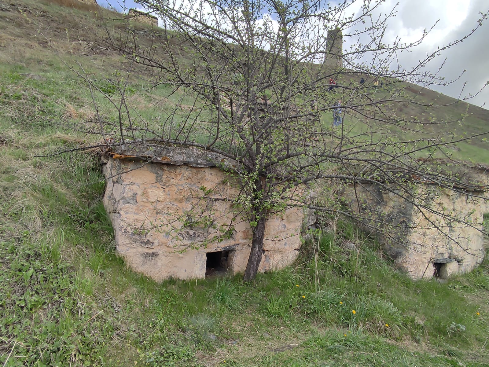 Фотография Александра Ралота Фотография Александра Ралота