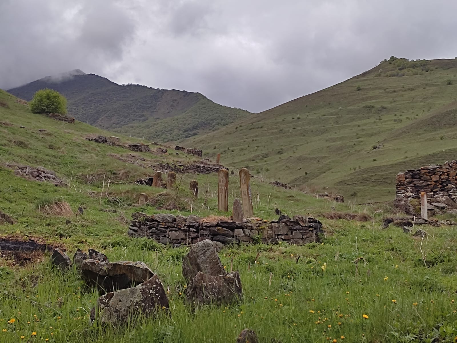 Фотография Александра Ралота Фотография Александра Ралота