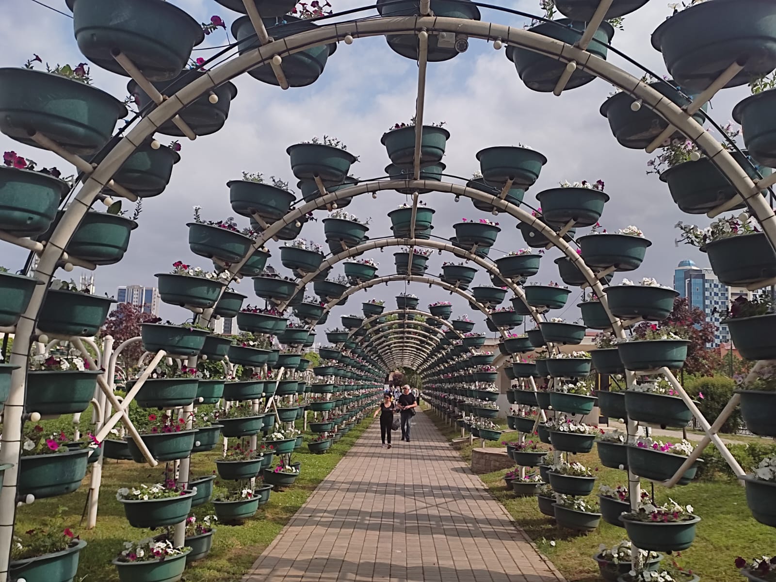 Фотография Александра Ралота Фотография Александра Ралота