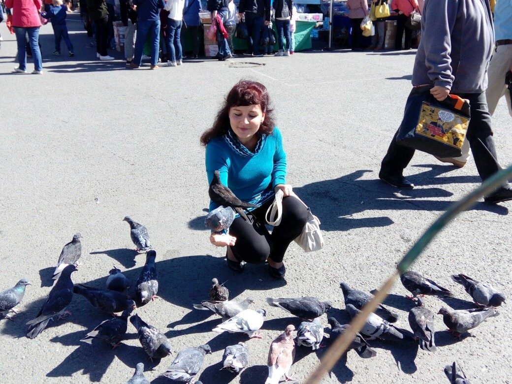 Елена Александренко Елена Александренко