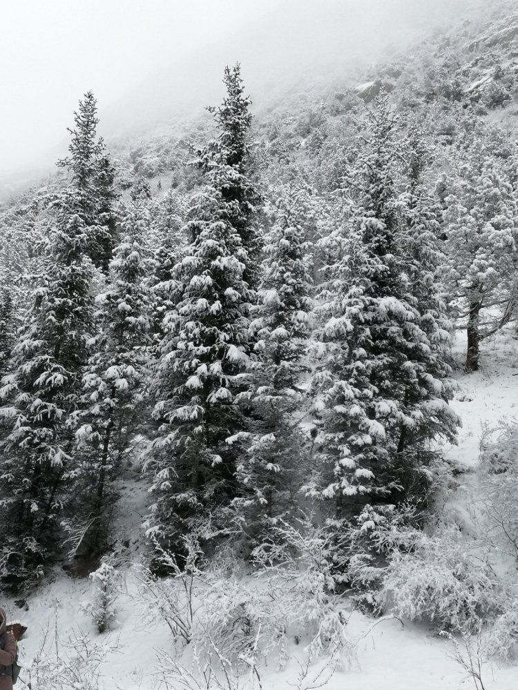 &laquo;������� ����&raquo; ����� �������������