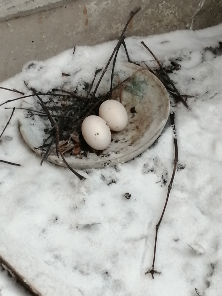 &laquo;������� ����&raquo; ����� �������������