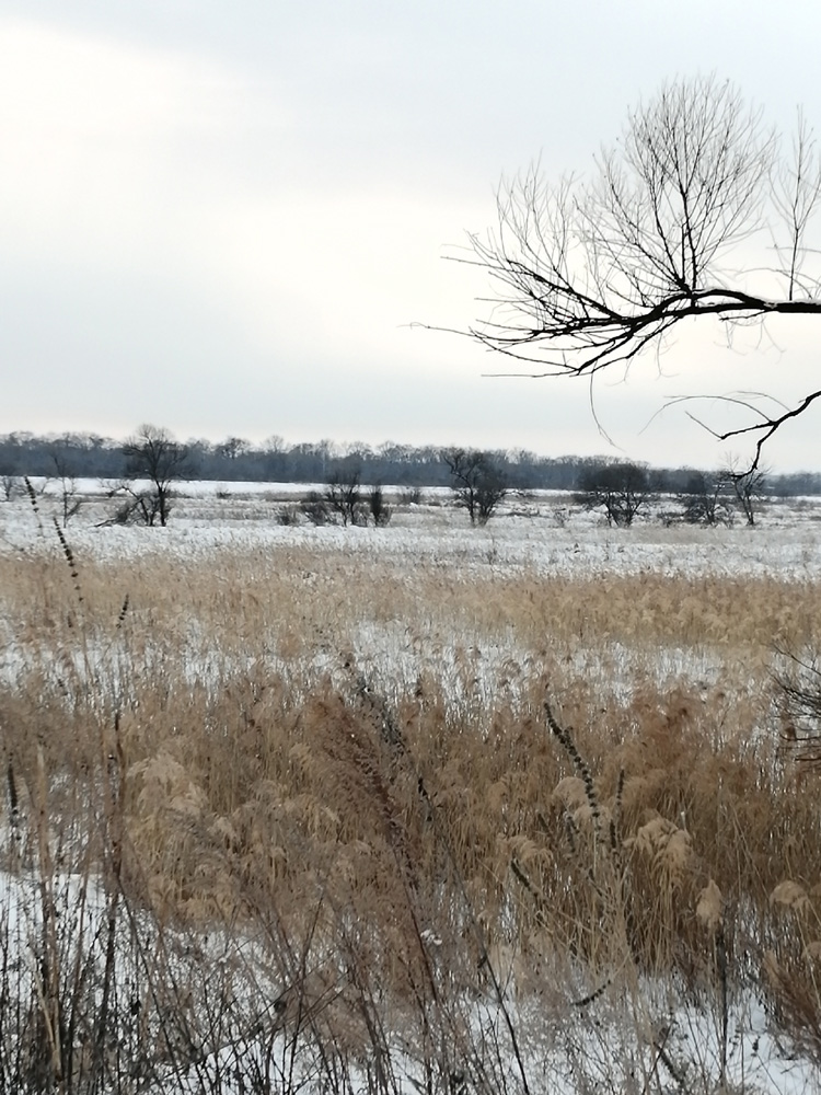 &laquo;������� ����&raquo; ����� �������������