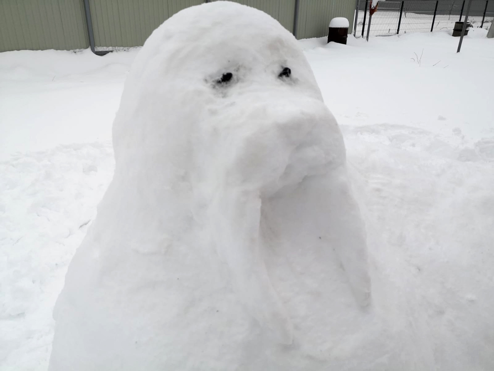 &laquo;������� ����&raquo; ����� �������������