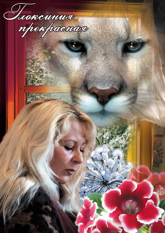 «Глоксиния прекрасная» Юлия Нифонтова, иллюстрация Александра Ермоловича «Глоксиния прекрасная» Юлия Нифонтова, иллюстрация Александра Ермоловича