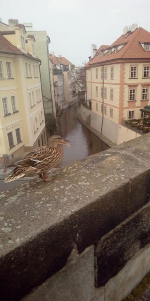 Фото Людмилы Свирской Фото Людмилы Свирской