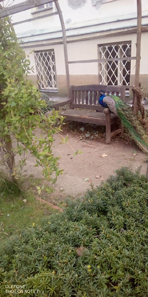 Фото Людмилы Свирской Фото Людмилы Свирской