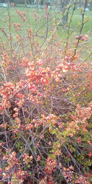 Фото Людмилы Свирской Фото Людмилы Свирской