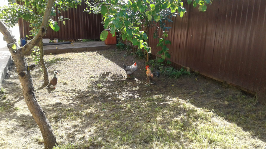 Фото Сергея Филиппова Фото Сергея Филиппова