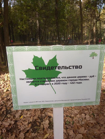 Фото Сергея Филиппова Фото Сергея Филиппова