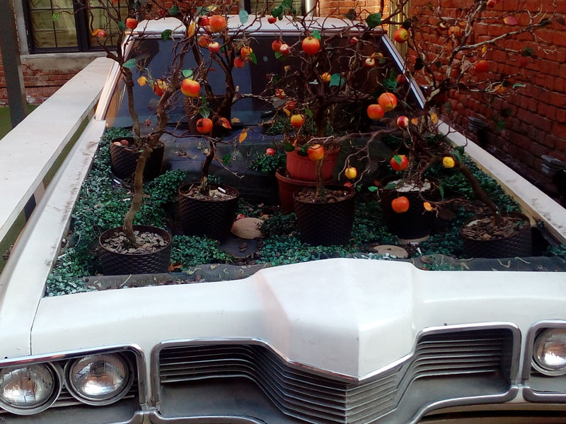 Фото Сергея Филиппова Фото Сергея Филиппова